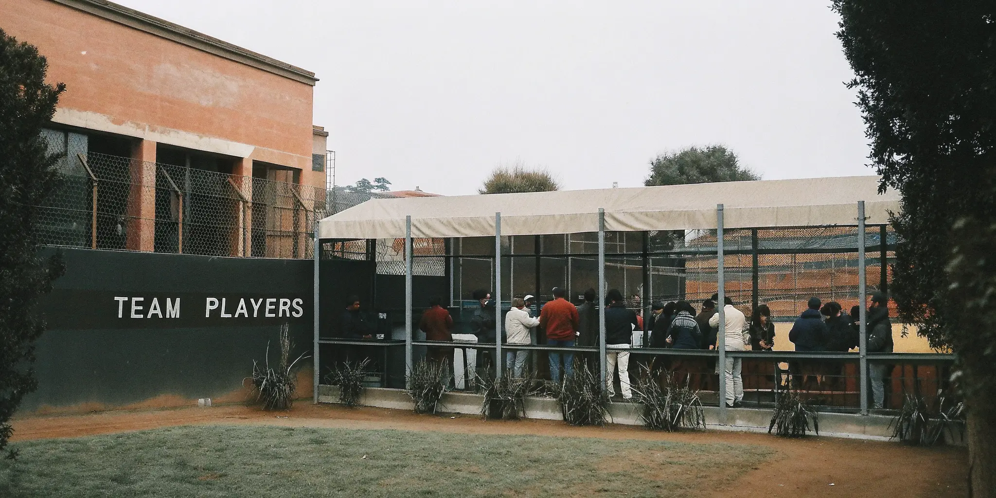 Understanding Fantasy Sports