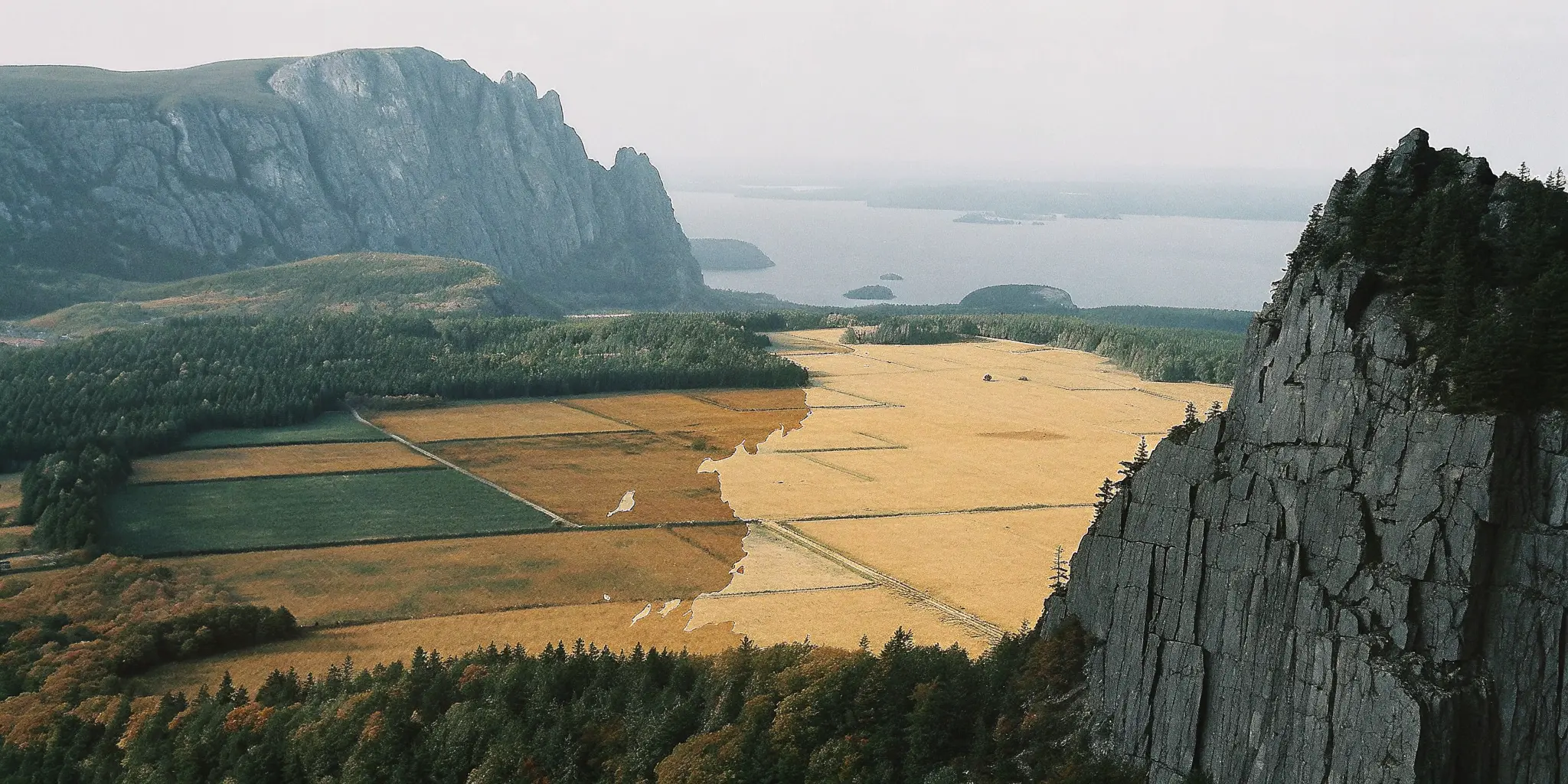 Legal Context of Fantasy Sports